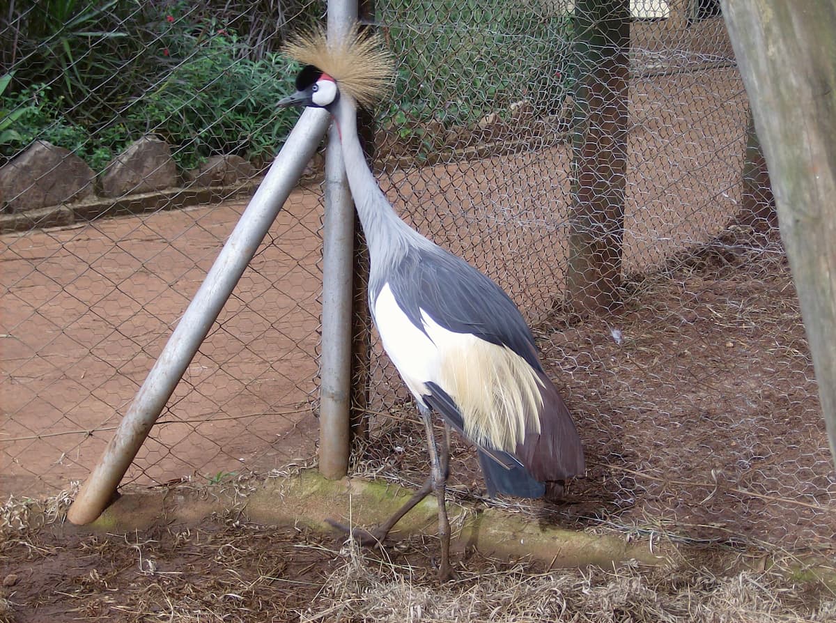 2-Day Kimana Sanctuary Exploration